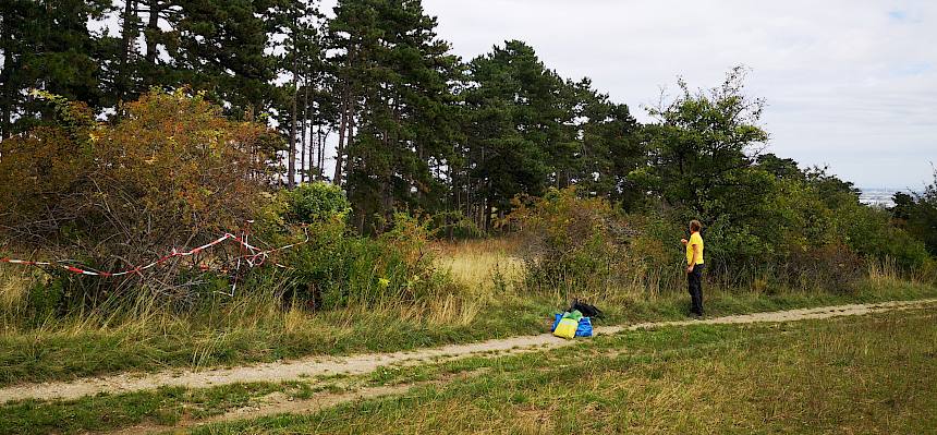Pflegefläche auf der Kleinen Heide vor der Entbuschung © FdPH/F. Hohn