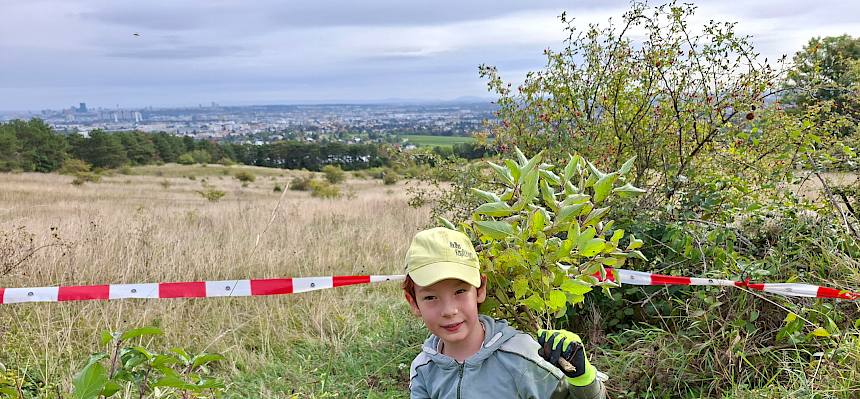 Ein schöner Platz zum Arbeiten - mit Blick über die Große Heide. © FdPH/J. Rehrmbacher