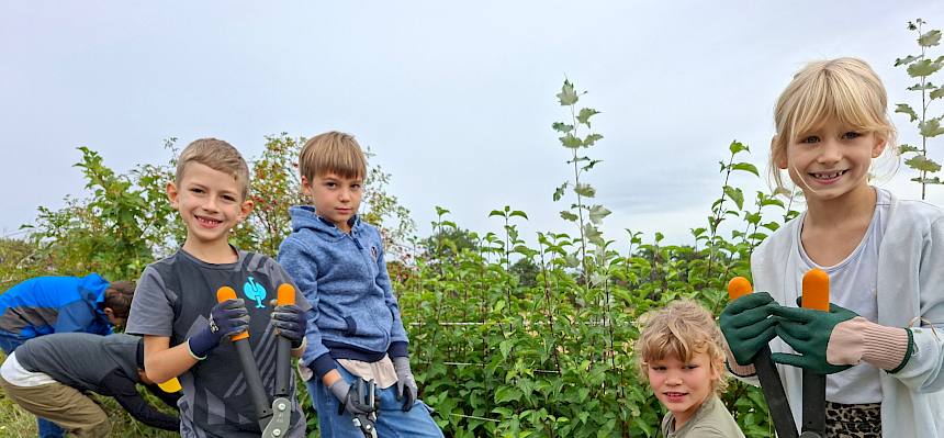 Entlang der Heidestraße werden die Gebüsche ausgelichtet, damit die Ziesel zwischen Zieselgebiet und angrenzenden Flächen wechseln können. © FdPH/J. Rehrmbacher