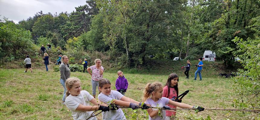 Waldreben werden gemeinsam von einer Steinweichsel heruntergeholt. © FdPH/B. Sabek