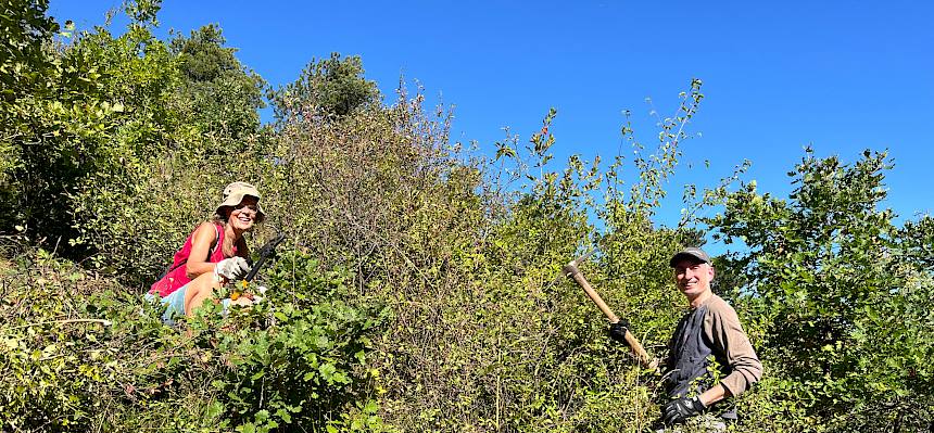 Die Felsen am Südhang der Kleinen Heide werden ausgelichtet, sodass die Felsen wieder besser besonnt sind. © FdPH/A. Mrkvicka