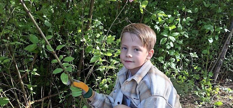 Stück für Stück wird die Hecke zurückgesetzt. © FdPH/J. Rehrmbacher