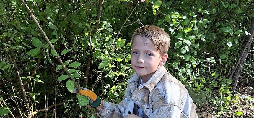 Stück für Stück wird die Hecke zurückgesetzt. © FdPH/J. Rehrmbacher