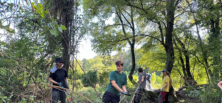 Mit viel Muskeleinsatz wurden heute auch große Sträucher entfernt. © FdPH/E. Weisz-Emesz