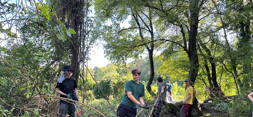 Mit viel Muskeleinsatz wurden heute auch große Sträucher entfernt. © FdPH/E. Weisz-Emesz