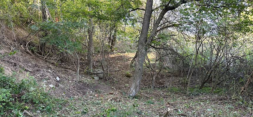 Das üppige Unterholz und die Büsche wurden hier erfolgreich entfernt, um Platz für die Schafe zu machen. © FdPH/E. Weisz-Emesz