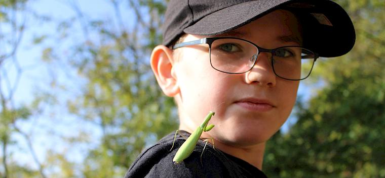 Auch Freundschaften wurden geschlossen - hier mit einer Gottesanbeterin (Mantis religiosa)© FdPH/L. Strobl