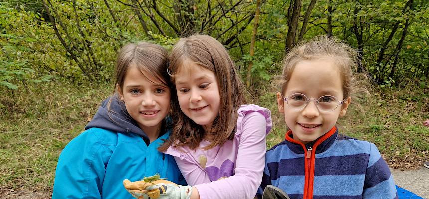 Das Grüne Heupferd (Tettigonia viridissima) ließ sich aus nächster Nähe betrachten. © FdPH/V. Pellarin