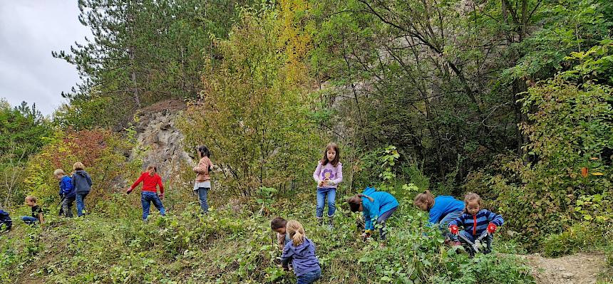 Hier wird ein sonniger Böschungsbereich für Smaragdeidechse und Co. geschaffen. © FdPH/V. Pellarin