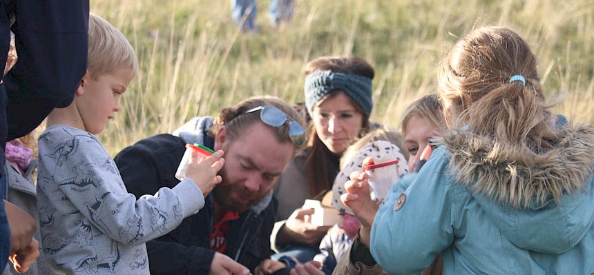 Becherlupensuche bei der Heide-Kinderexkursion. © FdPH/F. Hohn