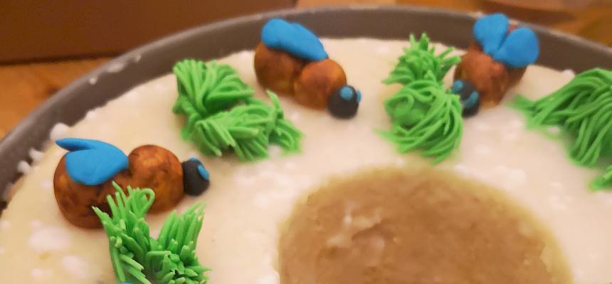 Die wunderschöne Geburtstagstorte zu 25 Jahre Heideverein wurde von unserer Biologin Bianca Sabek gebacken. © FdPH/F. Hohn