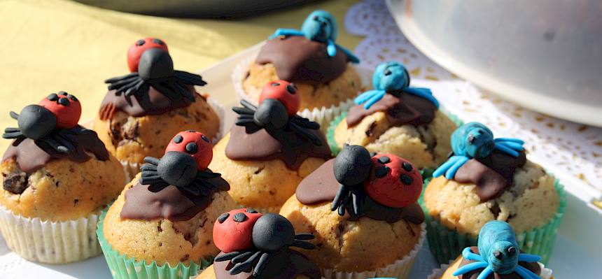 Die tollen Muffins mit Roter Röhrenspinne und Alpenbock-Käfer gebacken von unserer Biologin Bianca Sabek. © FdPH/F. Hohn