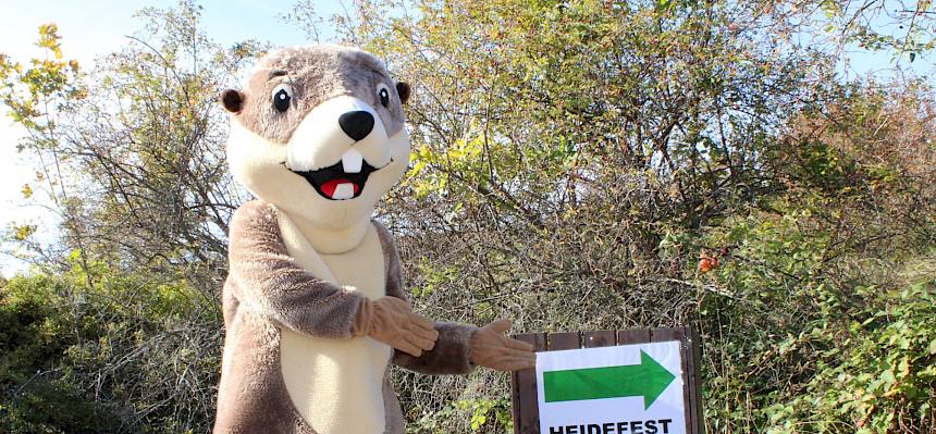 Hier geht´s lang zum Heidefest! © FdPH/L. Strobl