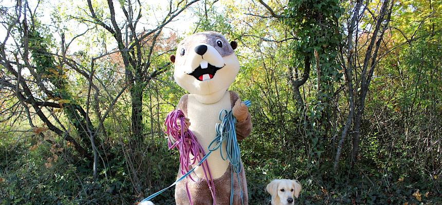 Perzi und Hunde sind gute Freunde - wenn sie angeleint sind! © FdPH/L. Strobl