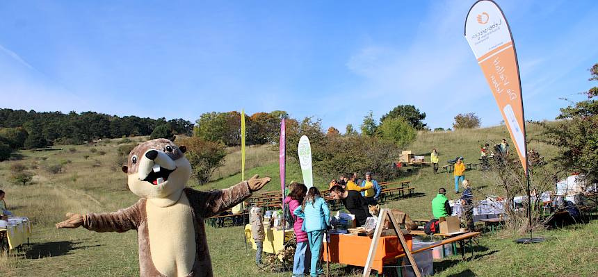 Es ist alles vorbereitet für das Heidefest - die Gäste können kommen! © FdPH/L. Strobl