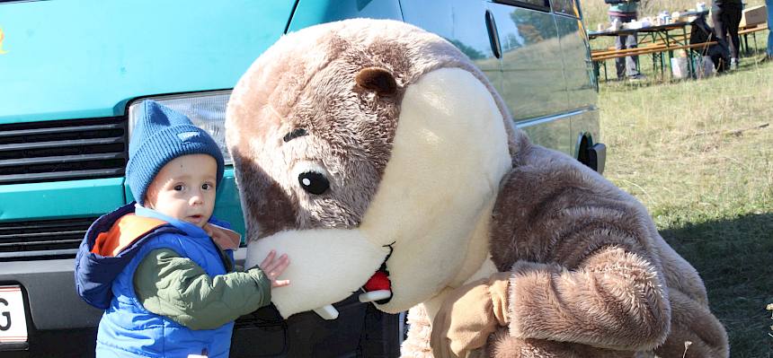 Groß  - aber nicht einschüchternd! © FdPH/L. Strobl