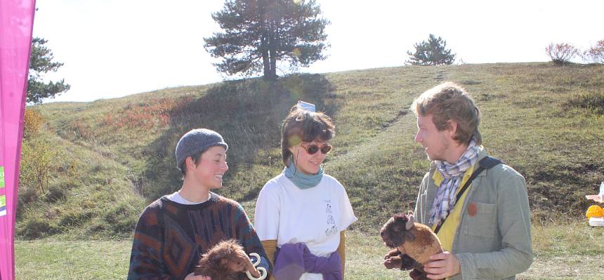 Mammut und Wisent grasten früher auf der Heide. © FdPH/L. Strobl