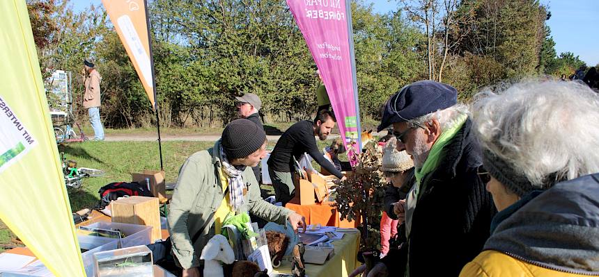 Der Heideinfostand vermitteltet geballtes Wissen über das Naturjuwel Perchtoldsdorfer Heide. © FdPH/L. Strobl