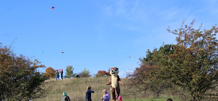 Das prachtvolle Wetter lockte viele zum Spazieren gehen und Drachen steigen auf die Heide. © FdPH/L. Strobl