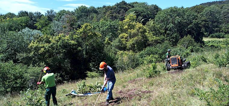 Nach dem Fräsen wird die ausgeworfene Erde mit einem Metallrechen wieder in das Fräseloch gerecht. © LPV/I. Drozdowski