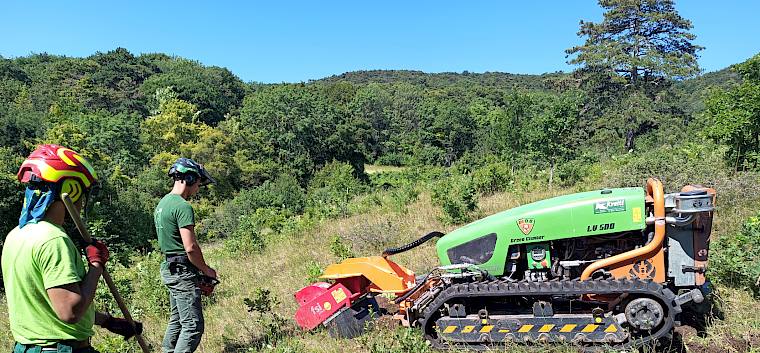 Mittels der ferngesteuerten Green Climber-Stockfräse können dichte Gebüsche mit Arten wie Hasel, Linde, Flaum-Eiche, Esche und Mehlbeere auf sensiblen Trockenrasen-Flächen sehr gezielt ausgelichtet werden. © LPV/I. Drozdowski