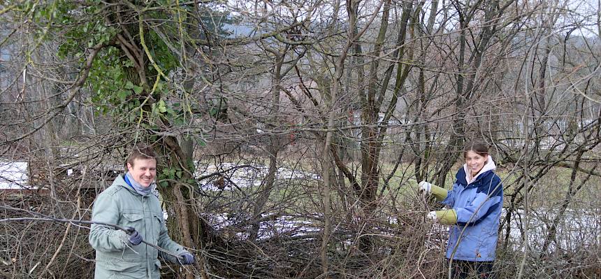 Je länger und mosaikartiger eine Hecke oder ein Waldrand ist, desto mehr Nischen finden verschiedene Arten zum Leben. © LPV/L. Strobl