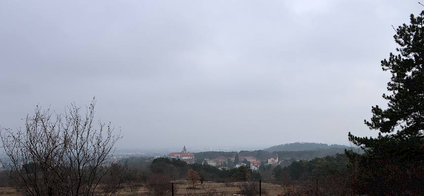 Ausblick von der Kleinen Heide. © LPV/L. Strobl