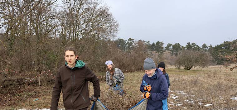 Das Schnittgut wurde auf Planen gesammelt und im Teamwork an den Flächenrand getragen. © LPV/L. Strobl
