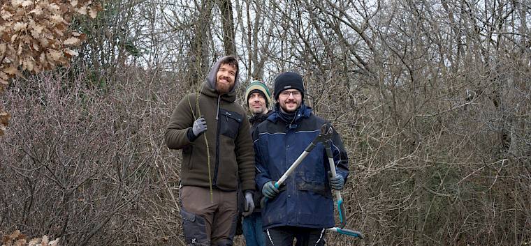 Dann ging der Pflegeeinsatz auch schon los: Ausgerüstet mit Astscheren wurde eine Hecke auf der Kleinen Heide um ein bis zwei Meter zurückgesetzt. © LPV/L. Wollny