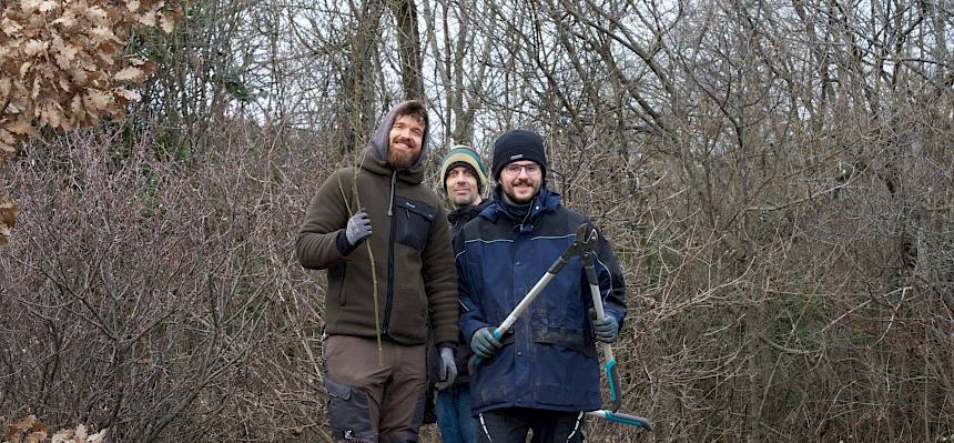 Dann ging der Pflegeeinsatz auch schon los: Ausgerüstet mit Astscheren wurde eine Hecke auf der Kleinen Heide um ein bis zwei Meter zurückgesetzt. © LPV/L. Wollny