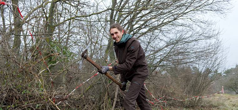 Vor der Hecke wurden Flieder (Syringa vulgaris), Waldrebe (Clematis vitalba) und Liguster (Ligustrum vulgare) ausgehackt, um den wertvollen Trockenrasenpflanzen wieder mehr Platz zu verschaffen. © LPV/L. Wollny