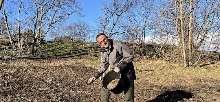 Auf den offenen Bodenstellen wurde heimisches, regionales Wildblumensaatgut eingesät. © FdPH/A. Mrkvicka