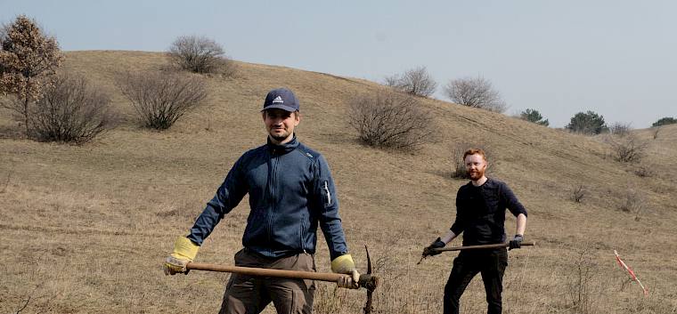 Durch das Entfernen des Blutrote Hartriegels (Cornus sanguinea) von der Fläche steht den seltenen Trockenrasenpflanzen wieder mehr Platz zur Verfügung. © LPV/J. FFischer