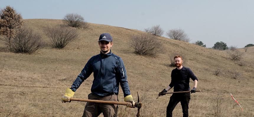 Durch das Entfernen des Blutrote Hartriegels (Cornus sanguinea) von der Fläche steht den seltenen Trockenrasenpflanzen wieder mehr Platz zur Verfügung. © LPV/J. FFischer