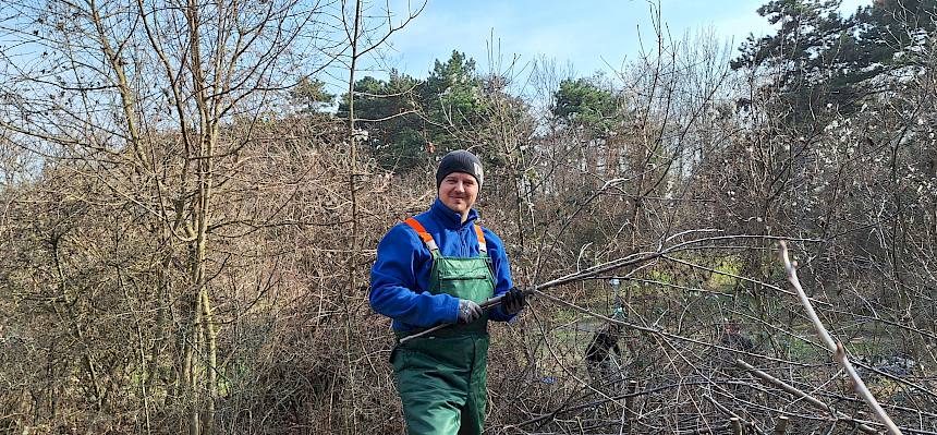 Am Nachmittag wurde eine große Hecke auf der Kleinen Heide zurückgeschnitten. LPV/D. Schultes