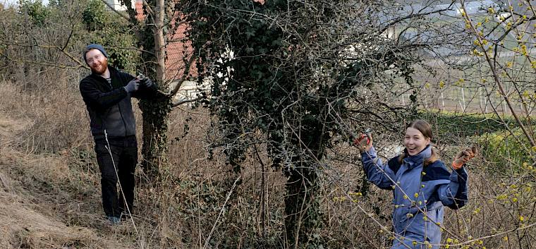 Nach einer kurzen Einführung zum Gebiet ging es, ausgestattet mit Rechen, Scheren und Freischneider, unter dem Gezwitscher der Kohlmeisen (Parus major) an die Arbeit. © LPV/J. FFischer