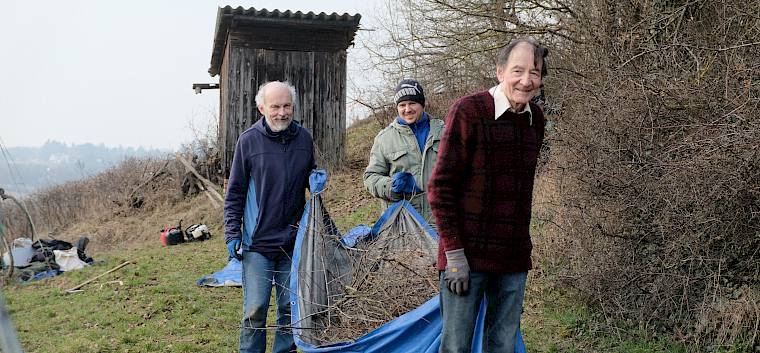 Heute waren elf Freiwillige am Vormittag und zwölf Freiwillige am Nachmittag für die wertvollen Trockenrasen am Goldbiegel in Perchtoldsdorf im Einsatz. © LPV/J. FFischer