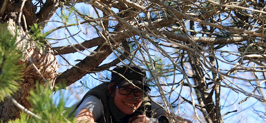 Biolog:in Fischi ist immer auf der Suche nach guten Fotomotiven. © LPV/F. Hohn