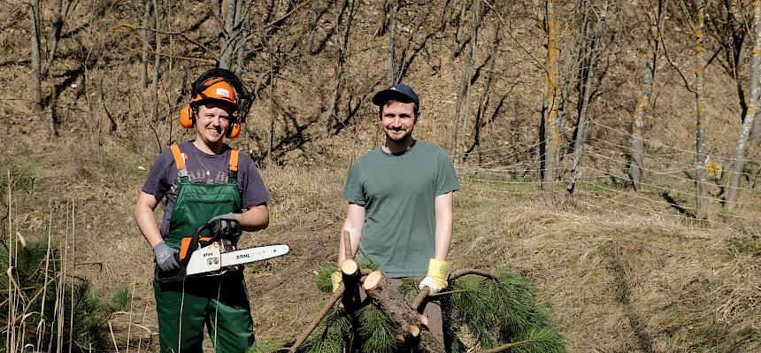 Durch das Entfernen einzelner Gehölze, finden Trockenrasenpflanzen und wärmeliebende Amphibien- und Reptilienarten wieder mehr Platz. © LPV/J. FFischer