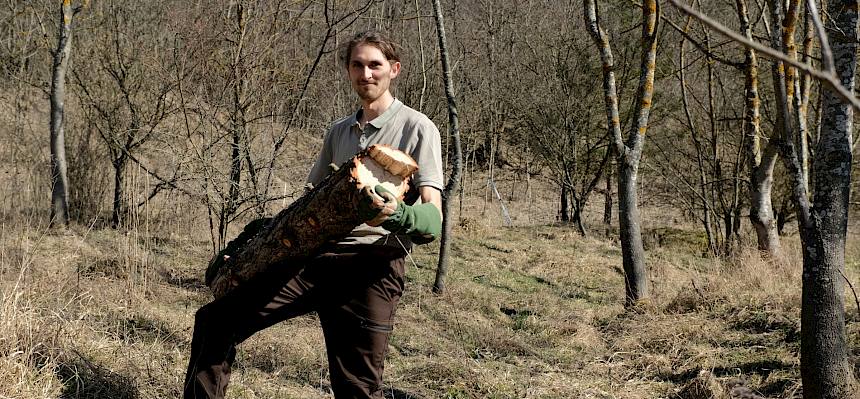 Größere Stücke wurden einzeln von der Fläche getragen.© LPV/J. FFischer