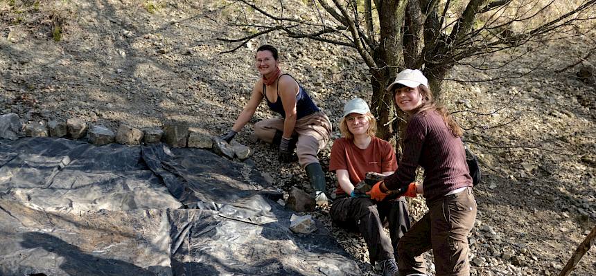 In diesem Bereich wurde der invasive, nicht heimische Japanische Staudenknöterich (Fallopia japonica) zurückgeschnitten. Er wird mittels Teichfolien-Abedeckung über mehrere Jahre zum Absterben gebracht. © LPV/J. FFischer