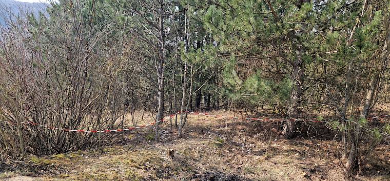 Die 4. Klassen arbeiteten in einem sonst nicht zugänglichen Bereich und sorgten dort dafür, dass sowohl auf trockenen als auch auf feuchteren Standorten wieder mehr offene und besonnte Stellen entstehen. © FdPH/V. Pellarin