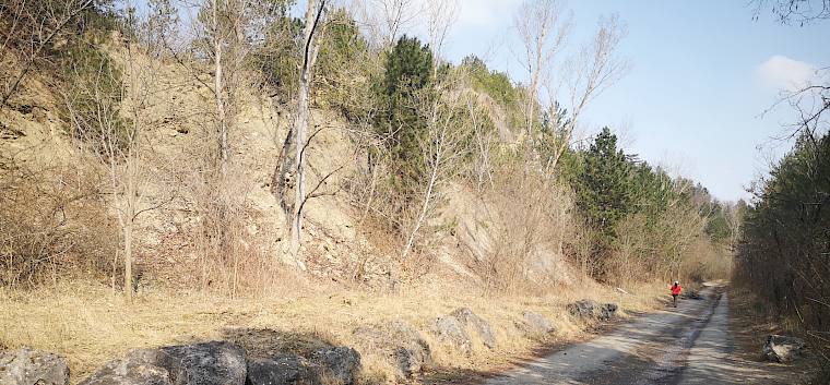 Fläche nach dem großartigen Einsatz der Schüler:innen. © FdPH/F. Hohn