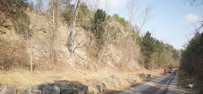 Fläche nach dem großartigen Einsatz der Schüler:innen. © FdPH/F. Hohn