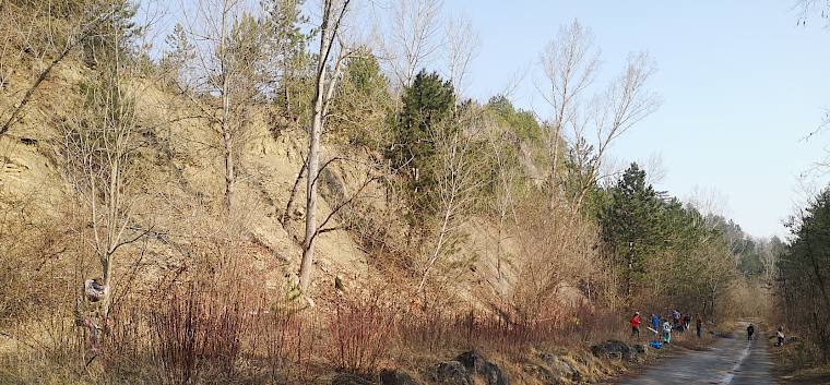 Die 3. Klassen waren entlang der Forststraße im Einsatz und entfernten vor allem aufkommenden Hartriegel (Cornus sanguinea), um diese Bereiche offen zu halten. © FdPH/F. Hohn