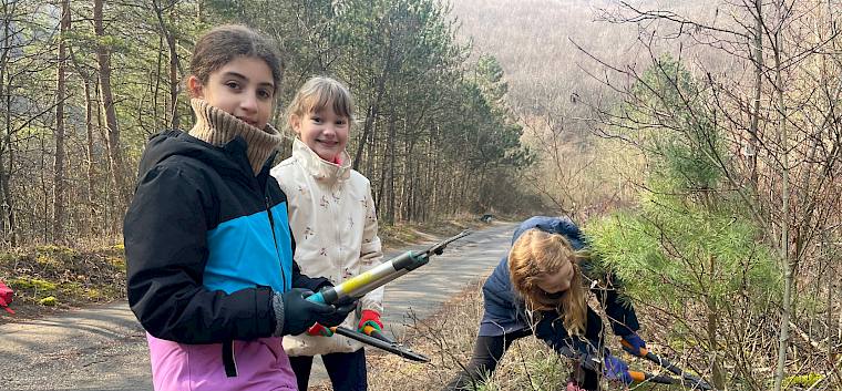 Ausgerüstet mit Astscheren entfernten die Schüler:innen der 3. Klassen den aufkommenden Hartriegel (Cornus sanguinea) entlang der Forststraße. © FdPH/A. Lembke