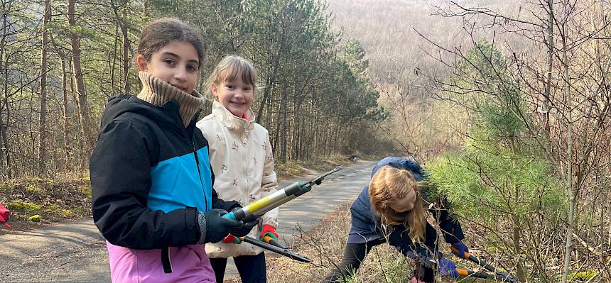 Ausgerüstet mit Astscheren entfernten die Schüler:innen der 3. Klassen den aufkommenden Hartriegel (Cornus sanguinea) entlang der Forststraße. © FdPH/A. Lembke