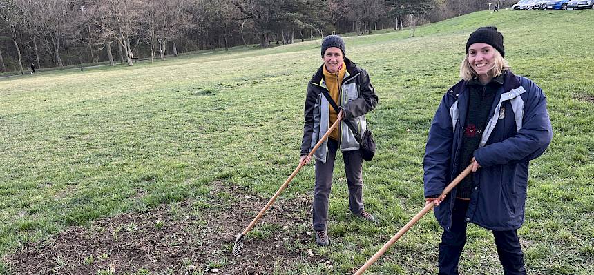 In Absprache mit dem Wirtschaftshof säte der Heideverein, unterstützt von einer Praktikantin des Landschaftspflegevereins, auf den durch das Fräsen entstandenen offenen Bodenstellen eine regionale Wildblumenmischung (REWISA-Saatgut) ein. © FdPH/A. Mrkvicka