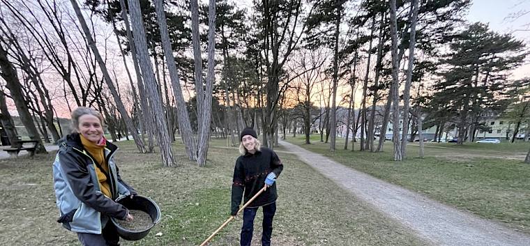 Der windstille Abend und die trockenen Bodenverhältnisse boten dafür ideale Bedingungen für die Einsaat. © FdPH/A. Mrkvicka
