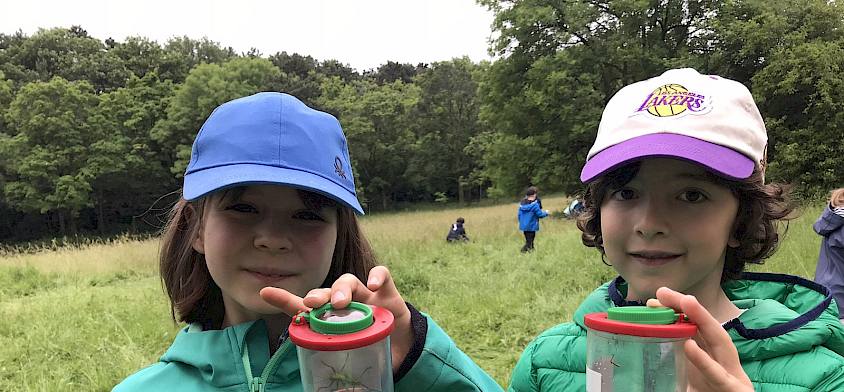 Mit Becherlupen können wir die Insektenvielfalt der Wiese erforschen. © LPV/N. Lintner